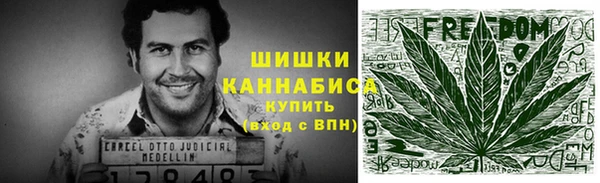 тгк Краснослободск