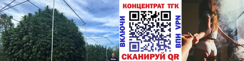 OMG   цены наркотик  Мостовской  ТГК THC oil 