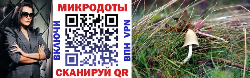 Галлюциногенные грибы ЛСД  Мостовской 